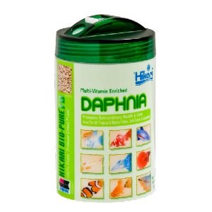Buy Hikari Daphnia