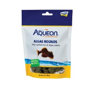 Buy Aqueon Algae Rounds
